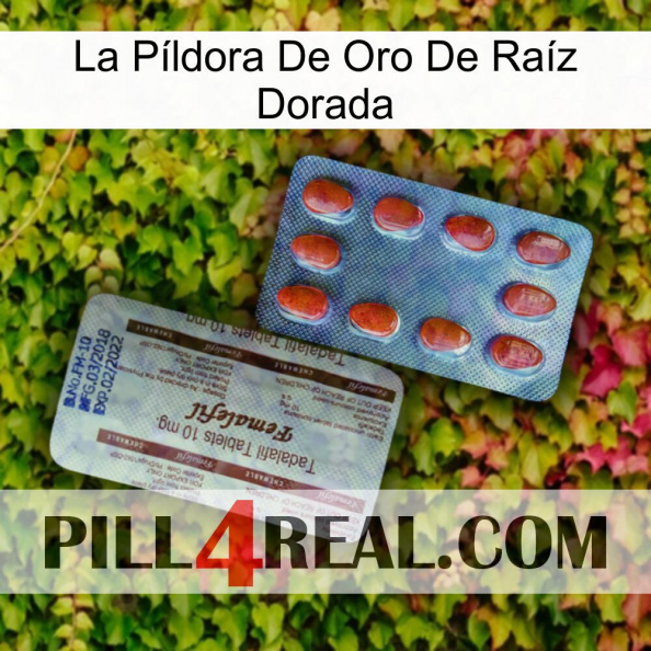 La Píldora De Oro De Raíz Dorada 36.jpg